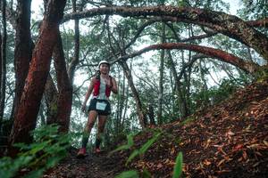 BIB: 
                            <button type="button" onclick="openModal(26344173)" class="btn btn-primary btn-sm float-right btn-popup" data-toggle="modal" data-target=".modal-high-quality">
                        <i class="fas fa-shopping-cart"></i> Add to Cart
                    </button>
                                            <button type="button" onclick="isThisMe(26344173, true)" class="btn btn-success btn-sm float-right btn-popup btn-isme hidden" data-toggle="tooltip" data-placement="bottom" title="นี่คือรูปของคุณใช่ไหม คลิกที่นี่เพื่อเอาเข้าอัลบั้ม">
                        <i class="fas fa-plus"></i> Add to album
                    </button>
                    <button type="button" onclick="isThisMe(26344173, false)" class="btn btn-warning btn-sm float-right btn-popup btn-isnotme hidden">
                        <i class="fas fa-ban"></i> Remove from album
                    </button>